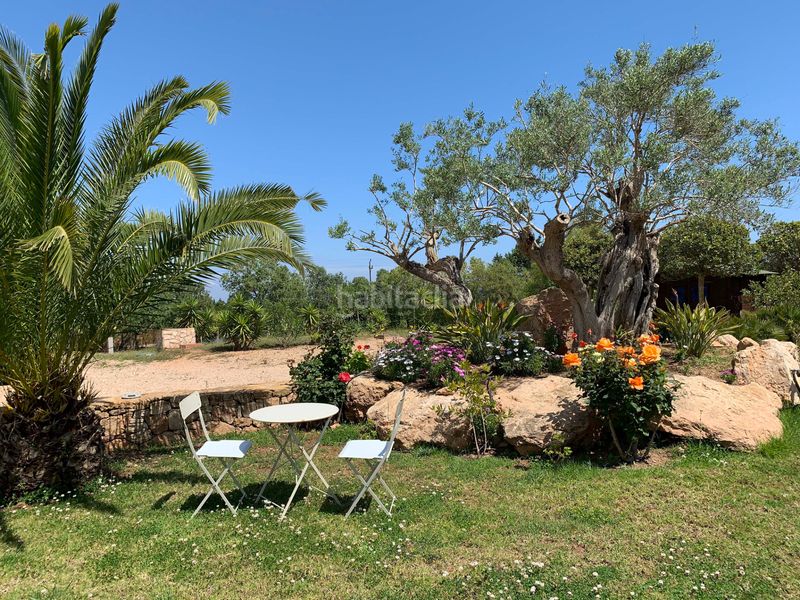 Foto cfd57fec-8e96-4576-8090-c76576e3fefa. Chalet finca con alma mediterránea, un oasis privado con piscina y gran parcela en sant francesc xavier en Formentera