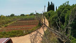 Masia a Can Llong. Finca rustica