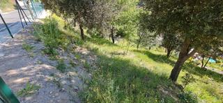 Terrain résidentiel à Carrer del baix ebre 15. Can bosc