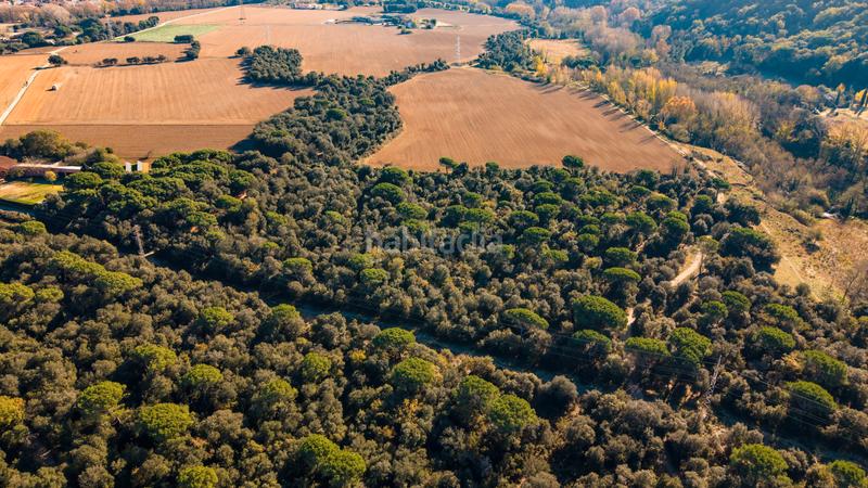 Foto 4839cc87-91f9-4629-b194-6298fcc1f6b5. Finca rústica a Santa Maria de Palautordera