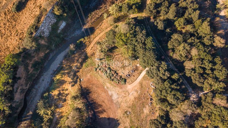 Foto a61c2c8f-42f6-47e0-b665-45b3d407cab6. Finca rústica a Santa Maria de Palautordera