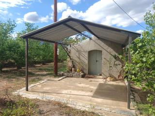 Terreny residencial a Aleixar (L´). Finca agricola en aleixar