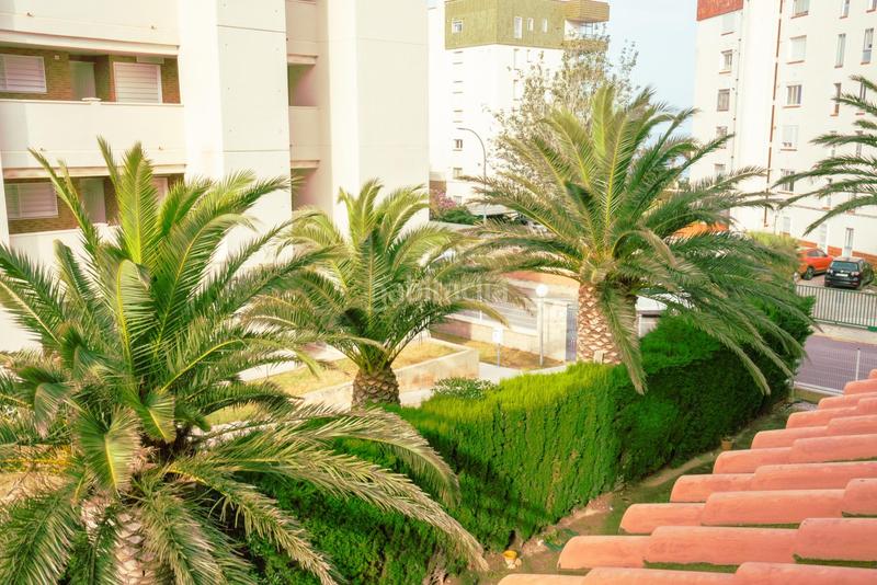 Foto 91c2fd2f-29d4-443d-b69f-b1bbb2b45397. Piso  ideal en la playa en Passeig Marítim Miami Platja