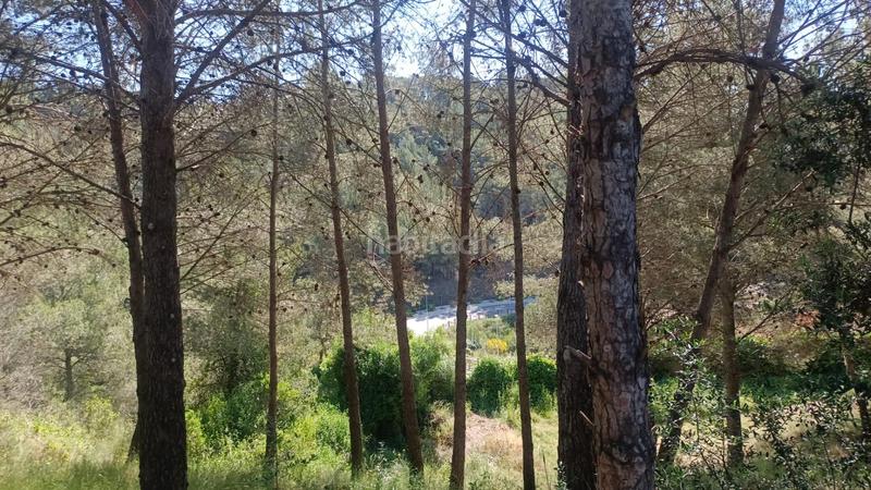 Foto 316d080b-7817-4ee5-9f39-8dc93520d0e6. Terreny residencial a carrer dels pins 111 a Riudecols