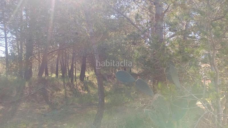 Foto 85d6280d-0eb0-44ab-a10e-f28b995cead5. Terreny residencial a carrer dels pins 111 a Riudecols