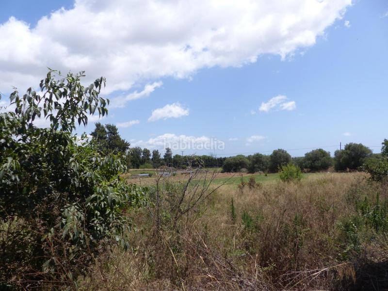 Foto fd195aca-77e7-492f-a910-e7920330c449. Casa  de campo en venta en carretera de salou, en Reus