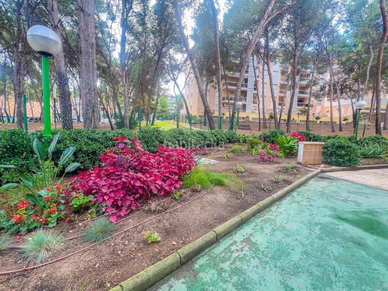 Foto 50244dcc-31c2-422b-acdb-ce37a5afd0c2. Piccolo appartamento con parcheggio piscina in pla de maset - cap de Salou Salou