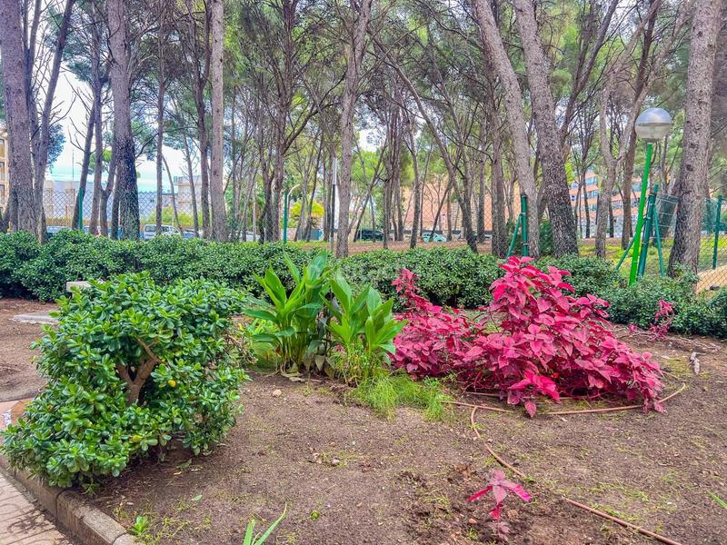 Foto 9f443c3a-5452-4f0f-bcfe-a90934e9cb2f. Piccolo appartamento con parcheggio piscina in pla de maset - cap de Salou Salou