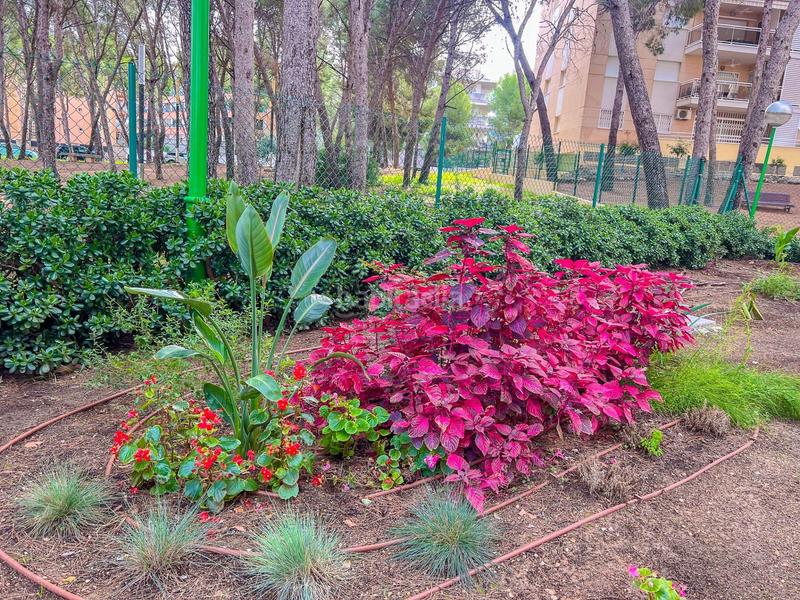 Foto c693a121-bc75-48ee-a137-72f3eb8eef52. Piccolo appartamento con parcheggio piscina in pla de maset - cap de Salou Salou