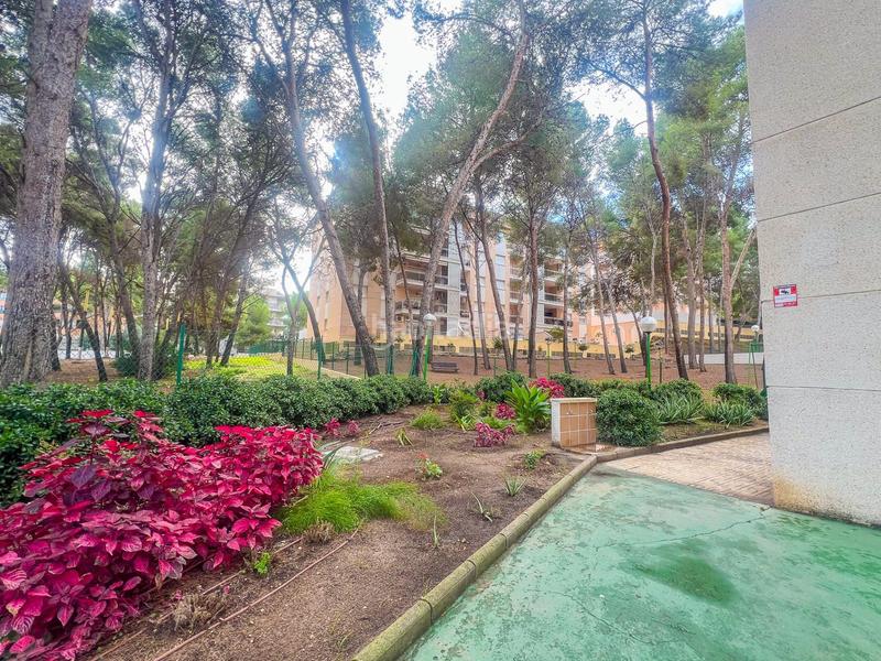 Foto df9d33d3-1e96-43a0-af25-2b6f9c165ecd. Piccolo appartamento con parcheggio piscina in pla de maset - cap de Salou Salou