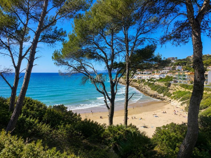 Foto c8cd7b81-df83-4cf6-9d9d-bb983eca40b3. Àtic amb piscina a pla de maset - cap de Salou Salou