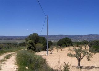 Rural plot in Biar