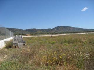 Rural plot in Beneixama