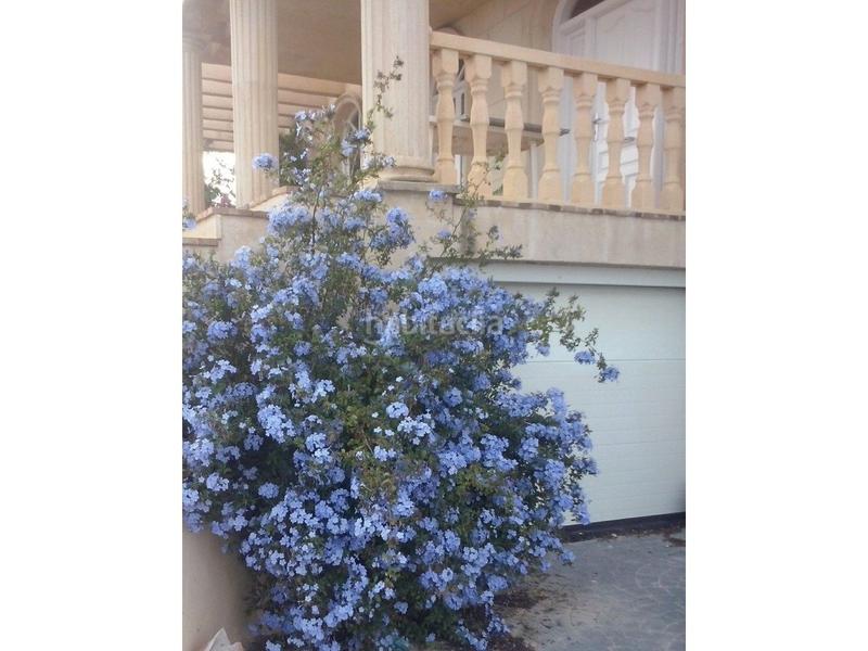 Foto 6be787d6-aaa0-4d8d-a6b2-461d563144ee. Chalet en La Huerta Mutxamel