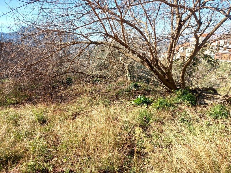 Foto 41966e3d-c42b-4d83-b585-39c148ade544. Industrial building in Banyeres de Mariola