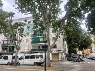 Foto 5de2d462-ae0b-441c-b3a9-3095efb3eadd. Pis a Son Gotleu Palma de Mallorca