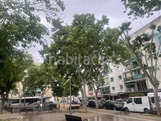 Foto 95222386-aa38-4d3b-b6d0-0bf0e62ec905. Pis a Son Gotleu Palma de Mallorca