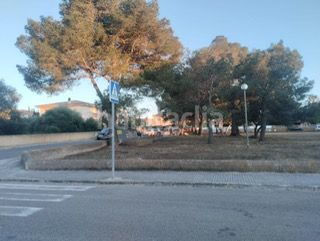 Foto 6c64bf5e-5291-44b5-8dc8-e3ab2c424596. Xalet a Badia Blava-Badia Gran-Tolleric Llucmajor