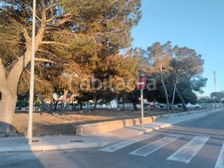 Foto 911ee4e4-d54e-4825-8960-be8a2ab91ef8. Xalet a Badia Blava-Badia Gran-Tolleric Llucmajor