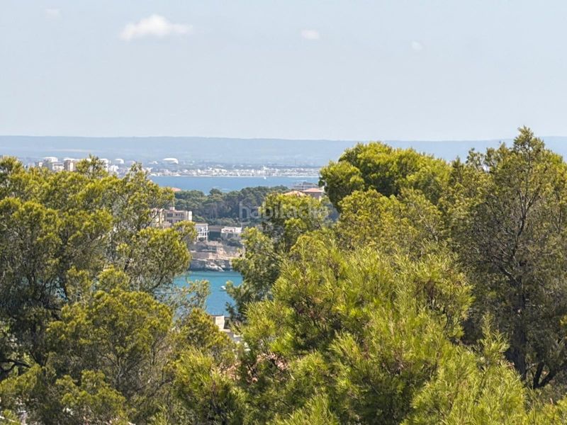 Foto 237f36eb-ee22-43d7-9c65-e4643e5b2244. Xalet a Cas Català-Illetes Calvià