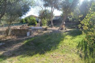 Terreny residencial a Campanet. Solar en campanet