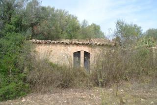 Masia a Sineu. Finca en sineu