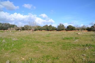 Mas à Manacor Centre. Finca rústica manacor