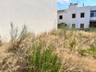 Terreny residencial a Campanet. Solar en campanet
