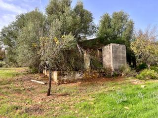 Masia a Campanet. Finca rústica campanet