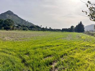 Country house in Ciutat d´Alcúdia. Finca rústica alcudia