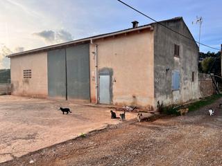 Masia a Llubí. Finca en llubi