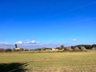 Rural plot in Ciutat d´Alcúdia. Finca rústica en alcudia