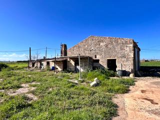 Masia a Sa Pobla. Finca rustica sa pobla