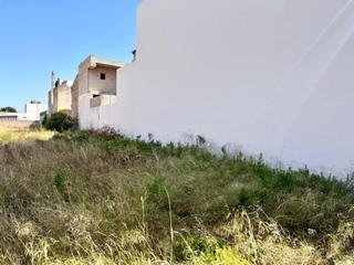 Terreny residencial a Sa Pobla. Solar en sa pobla