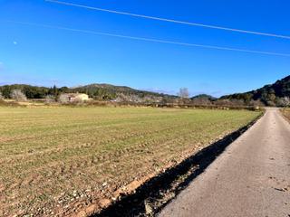 Finca rústica a Ciutat d´Alcúdia. Finca rústica en alcudia