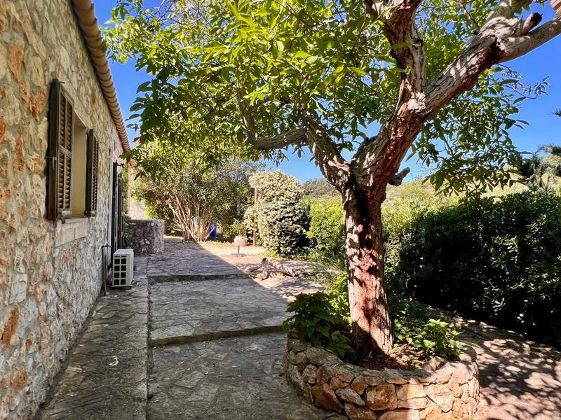 Foto 423874d0-4e9e-43ce-b2c2-93757a4e8bb5. Alquiler chalet alquiler larga estancia en Campanet