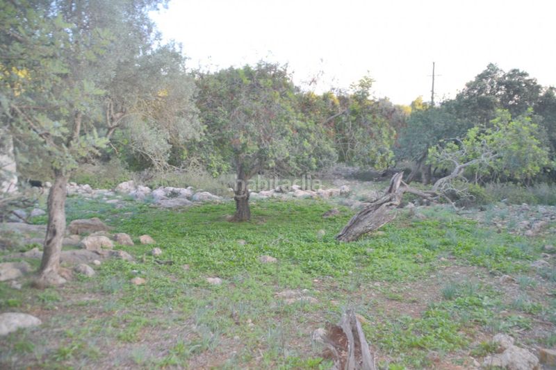 Foto 0401942f-91f9-4199-bf88-910d085ffc0d. Masia amb piscina a Sa Pobla