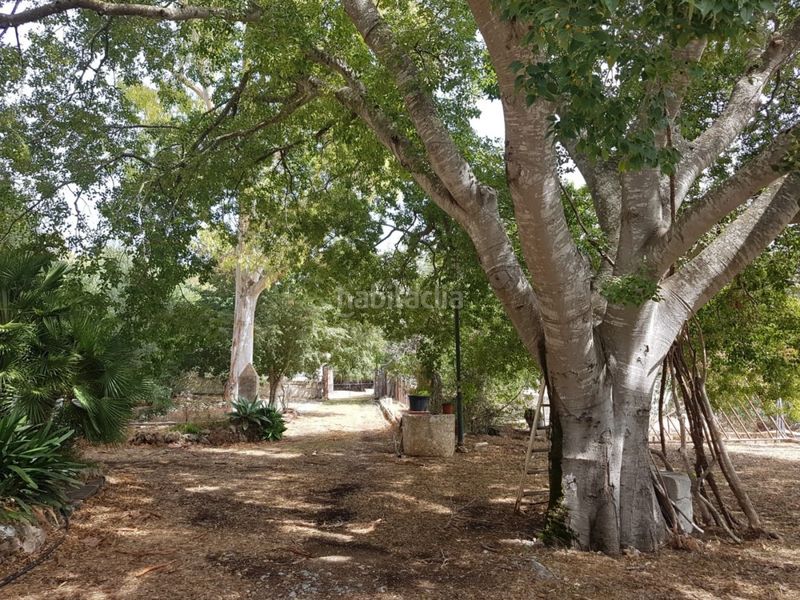 Foto 4a21b813-cd4b-4b35-af2b-94194b89523a. Masia amb piscina a Sa Pobla