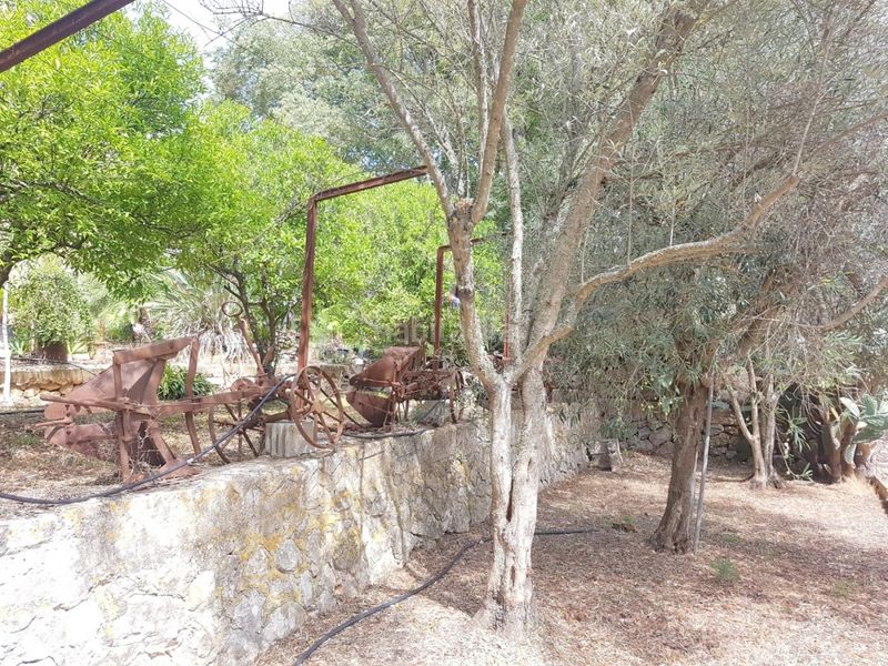 Foto 587668b3-7708-405b-835d-07ca99ec0d23. Masia amb piscina a Sa Pobla