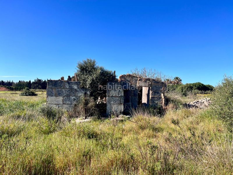 Foto 0e8813d1-5b58-4056-8d8c-6e7a4612f8ed. Masia a Sa Pobla
