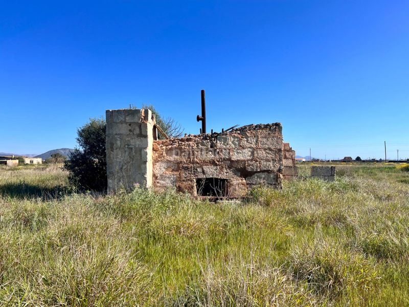 Foto 66e6d767-270b-4925-a058-922a1741971c. Masia a Sa Pobla
