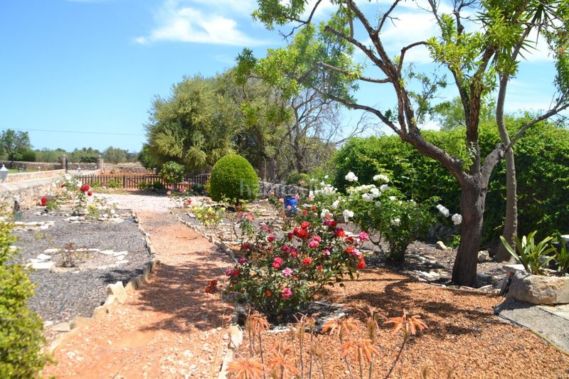 Foto e79ed935-5515-4fe6-8d76-475bb01d17a5. Masia amb calefacció piscina a Santa Margalida poble Santa Margalida