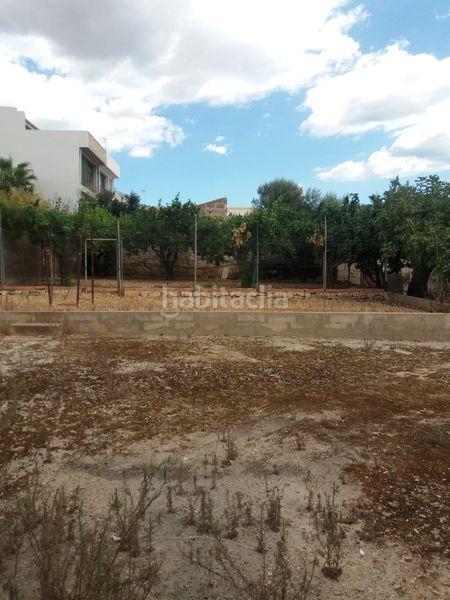 Foto 1320d840-ae2c-4dec-9bd2-a190fa12e1ef. Terreny residencial a Sa Pobla
