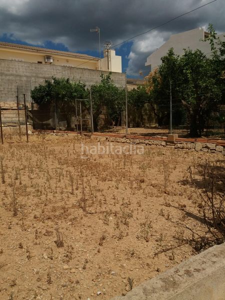 Foto b97be1e9-a838-4554-b378-353a3581d3f3. Terreny residencial a Sa Pobla