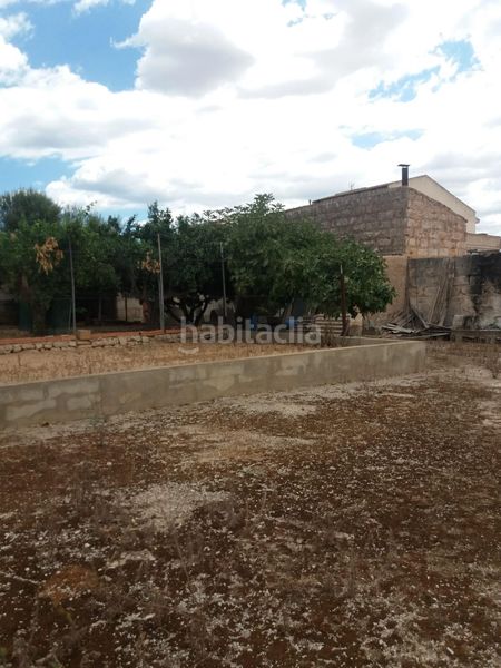 Foto e41b4ccc-844d-45c8-a0d4-039244627c35. Terreny residencial a Sa Pobla