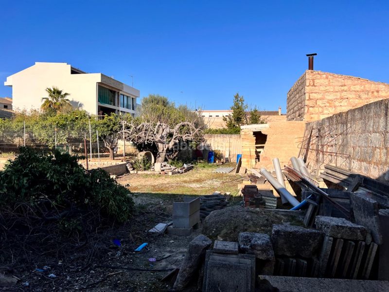 Foto f312c339-9e9b-44f5-b8c9-f0183ecee6ca. Terreny residencial a Sa Pobla