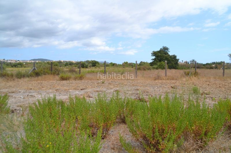 Foto 3a756759-4e91-4df7-b1c4-3b39d962ad06. Masia a Campanet
