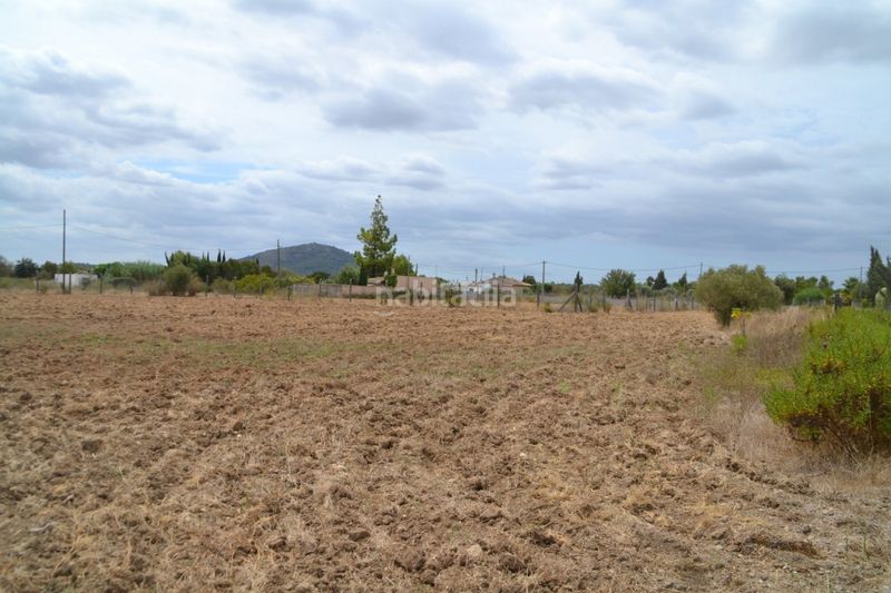 Foto 451df3d3-5629-4a38-bbc0-62ee2aabf2d0. Masia a Campanet