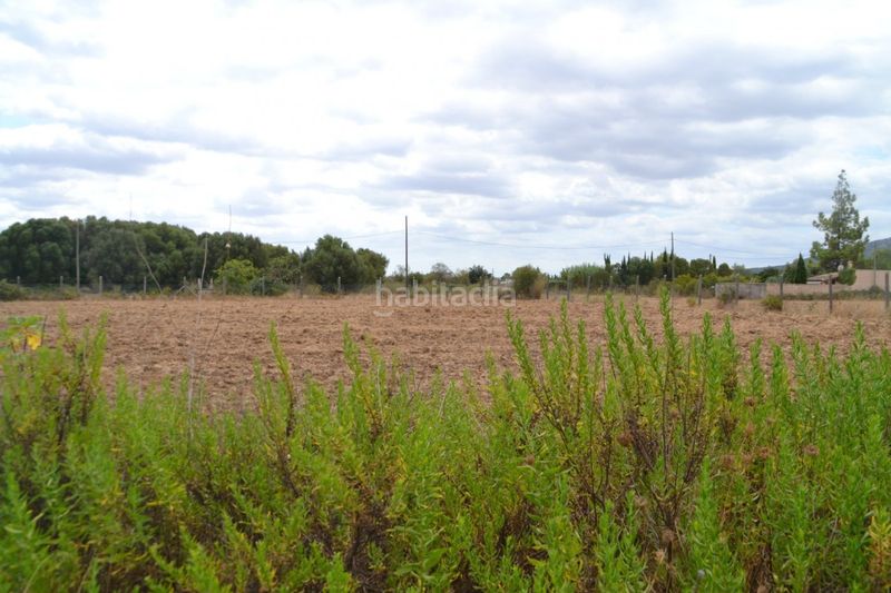 Foto 787be5d1-ba68-411a-9677-cad4148cbbf2. Masia a Campanet