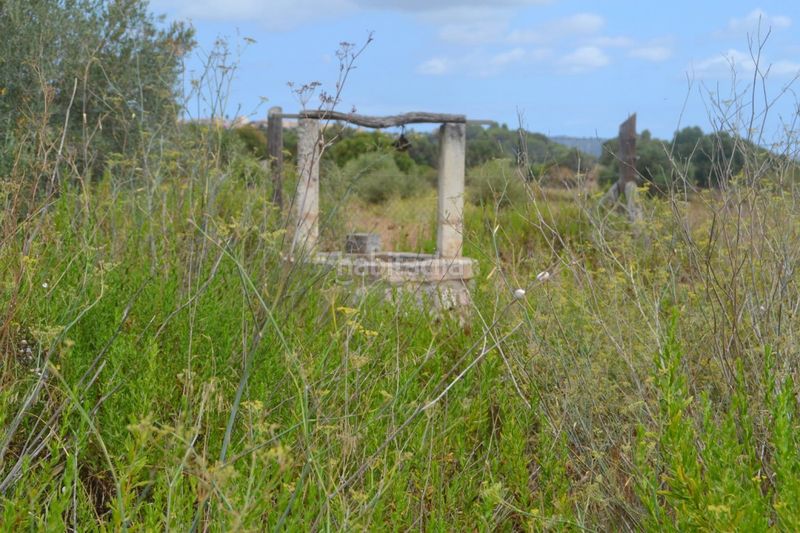 Foto ee1eb648-2f19-4e11-b082-b8f872f0a024. Masia a Campanet